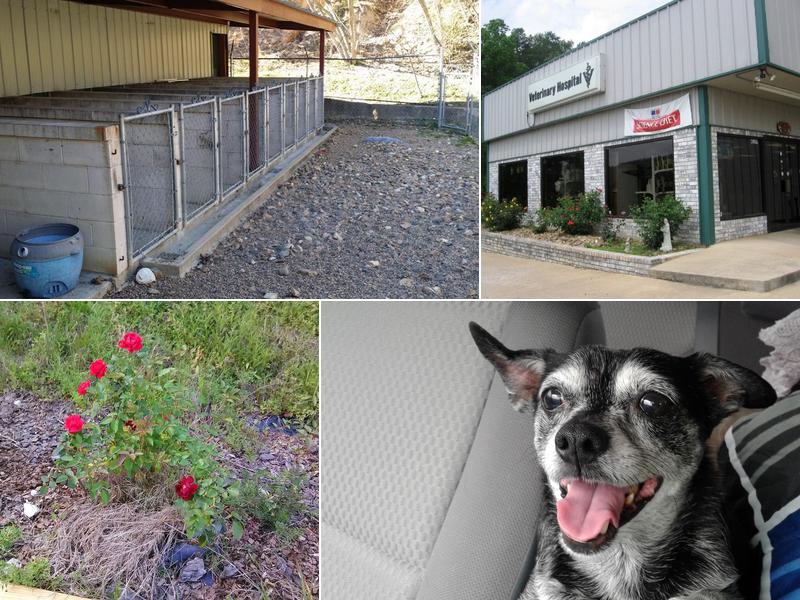South Arkansas Emergency Veterinary Service