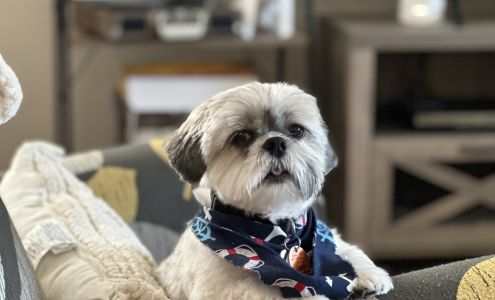 Muttlee Crew Pet Care