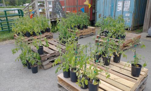 Belfast Feed Store Burlington