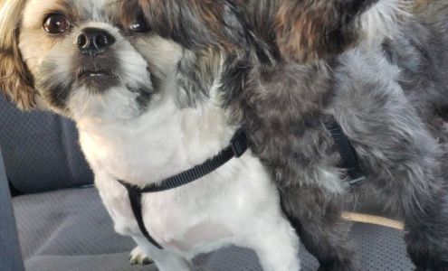 The Pet Stop Pleasantville