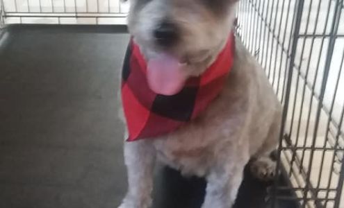 Miss Lulu's Boutique 600 S Roy St, Lake City Iowa 51449