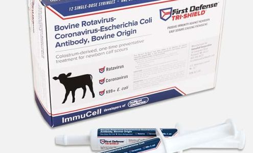 Main St. Feed & Pet Supply Lake City