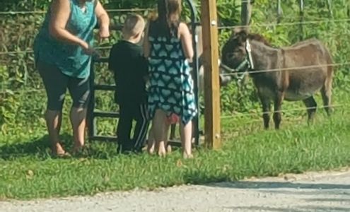 Clark Caster Co Cave-In-Rock