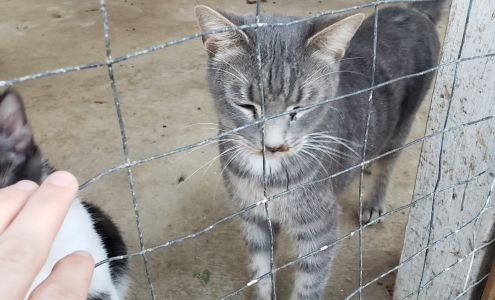 Hallmark Boarding Kennels