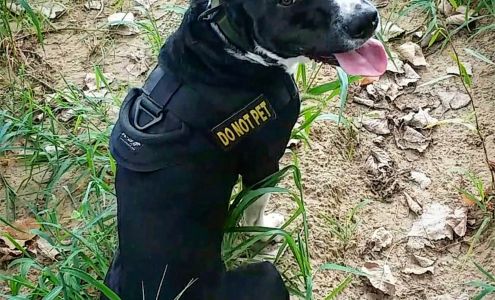 Elite K-9, Inc. Boaz