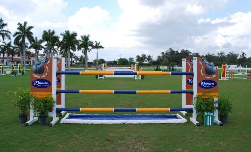 Pjsaddles Wellington