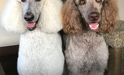 Woof Gang Bakery & Grooming Wellington