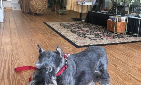 Dream Angels Spiritual Metaphysical Shop