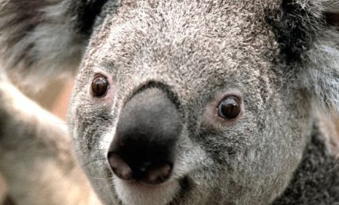 Englewood Jewelry & Gold