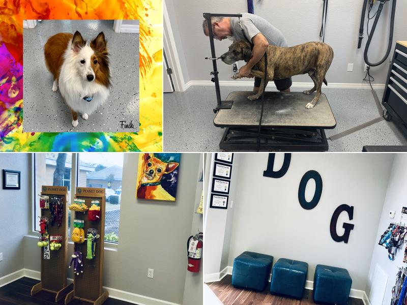 Atomic Dog Pet Salon