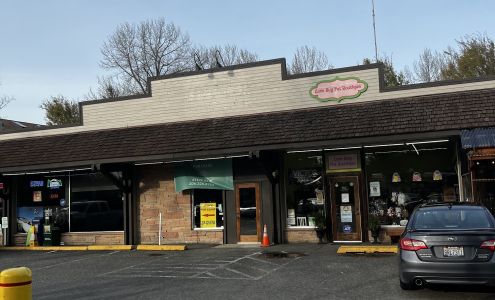 Love Bug Pet Boutique