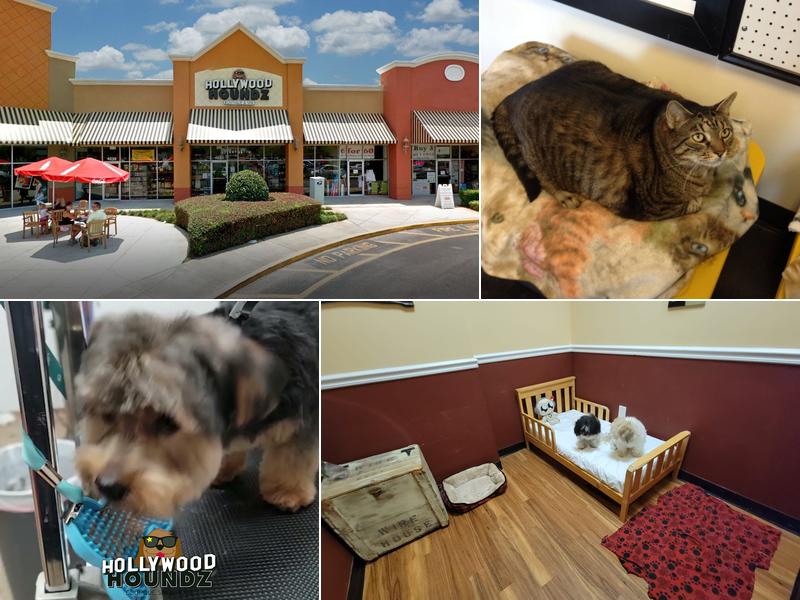 Hollywood Houndz Boutique, Spa & Hotel