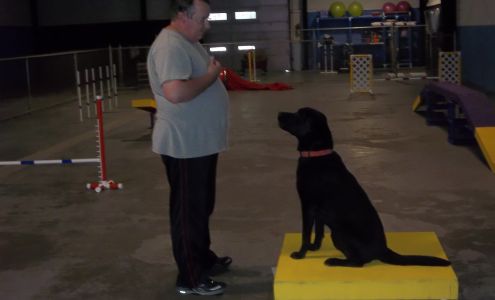 4 Cats, 4 Dogs, and a Moe! Hebron Estates