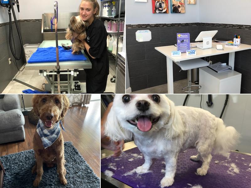 Reunion Pet Grooming Services