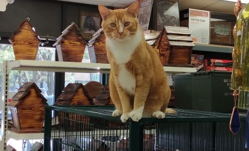 Bushnell Feed & Pet Supply