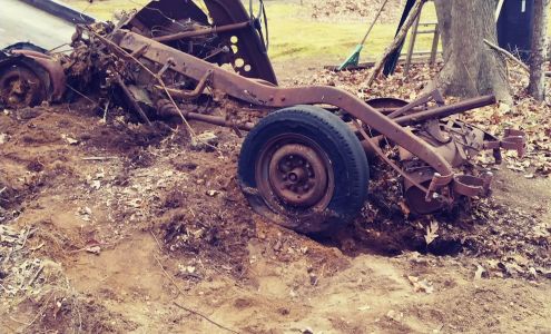 Moriches Dog Grooming