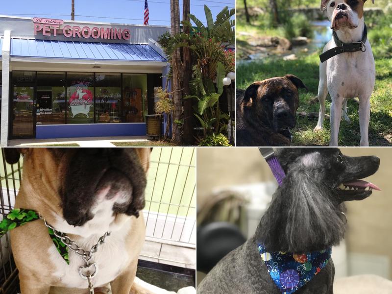 Lil' Piddlers Pet Grooming