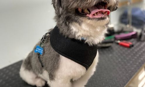 Lucky Paws Pet Grooming