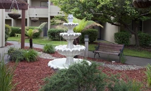 Best Western Plus Wine Country Inn & Suites