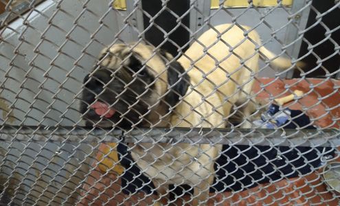 Spokane Humane Society