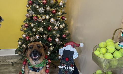 RockStar Paws Pet Grooming and Boarding