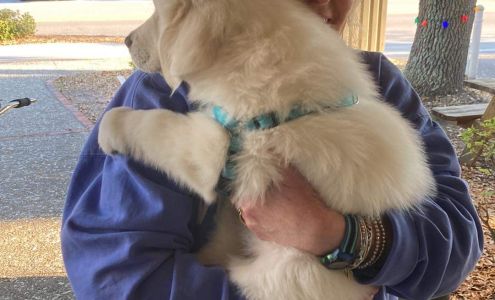 Coligny Hardware and Beach Supplies Hilton Head Island