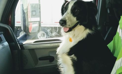 Midland Store Veterinary Clinic 1401 Rd 11, Schuyler Nebraska 68661