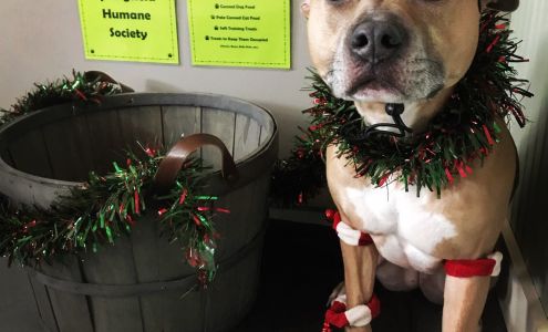 Willow Farm Pet Services