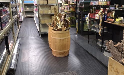 Gills And Thrills Pet Shop