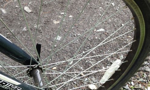 Littleton Athletic Department