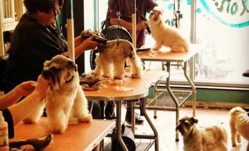 Cameo's Pet Salon & Doggie Day