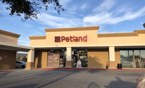 Petland Fort Walton Beach