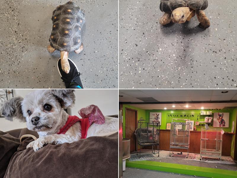 Bark N Call Pet Shop & Grooming