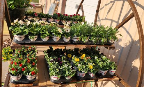 Jack's for All Trades LLC Buhler