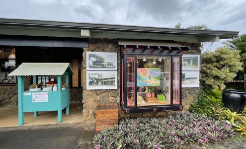 Kong Lung Trading Kilauea