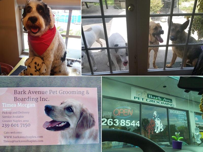 Bark Avenue Pet Grooming