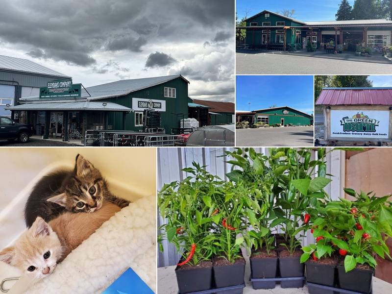 Elenbaas Country Store