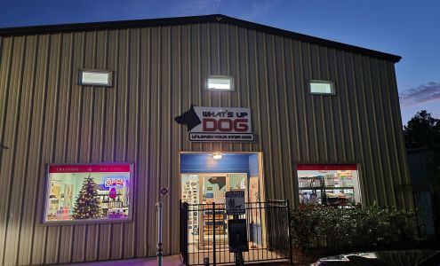 What's Up Dog? - Santa Rosa Beach