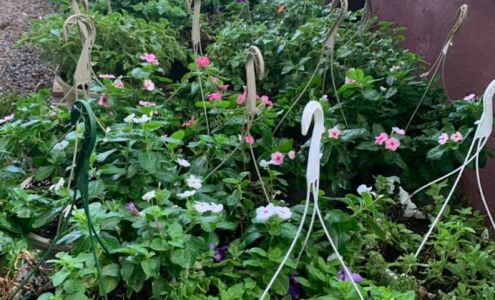 Virden Hardware Virden