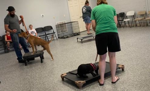 Canine Crossroads (Perfect Pet)