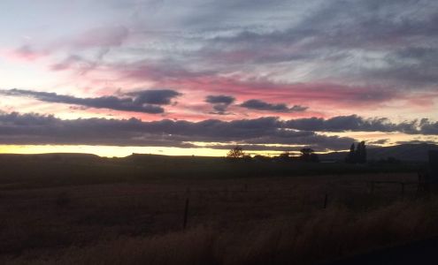 Bork & Sons Benton City