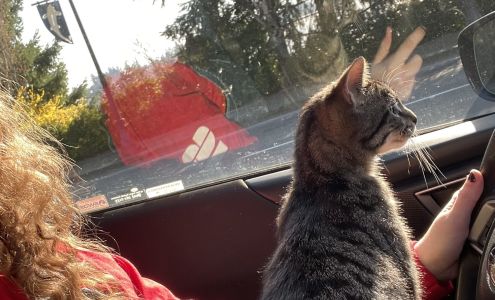 Nature's Pet Market West Linn