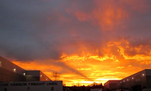 Scholastic Book Fairs