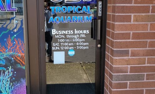 CB'S Tropical Aquarium