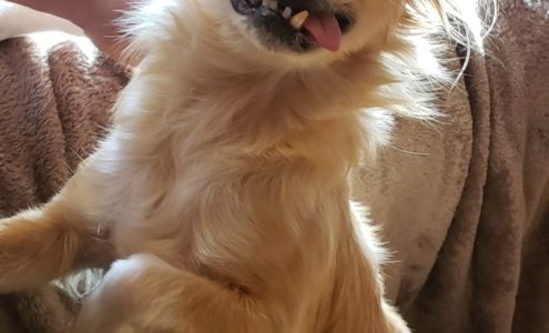 Snook's Pet Products LLC Estacada