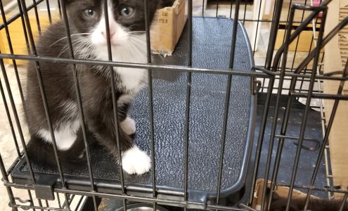 Geren's Farm & Landscape Supply