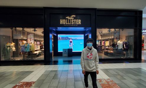 Hollister Co.