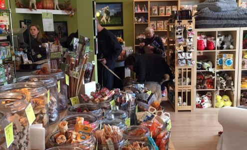 Everything But The Dog