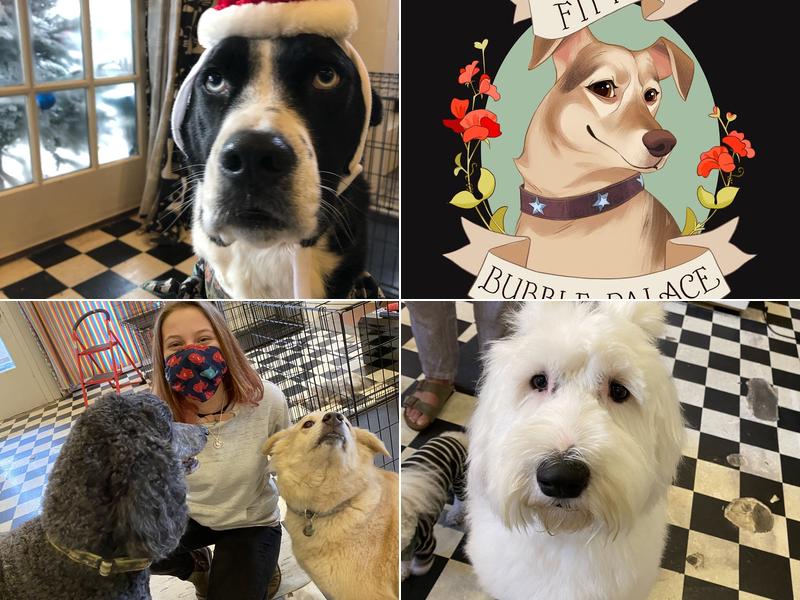 Fifi's Bubble Palace