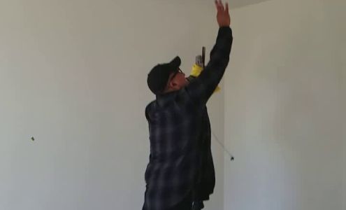 Pet Stop Grooming Shop Brush Prairie